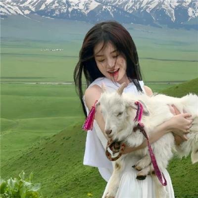 女明星的贴身阴阳师