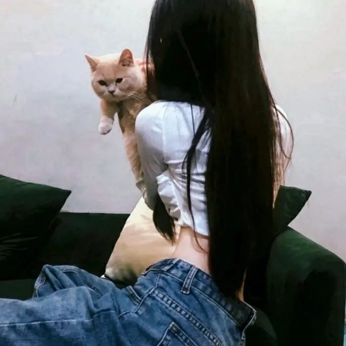 孤独的美食家 第七季