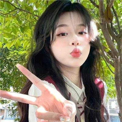 笨蛋的悲剧人生